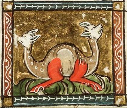 Picture of a mythical two-headed snake