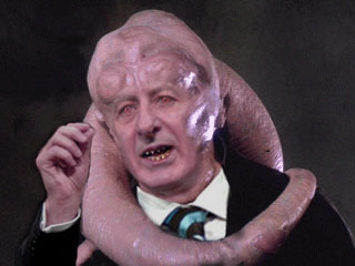 bib-raynor.jpg